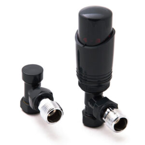 Reina Modal Trv - Anthracite Angled Valves With Lockshield