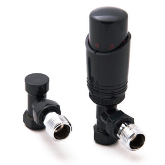Reina Modal Trv - Anthracite Angled Valves With Lockshield