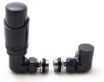 Reina Modal Trv - Anthracite Corner Valves With Lockshield